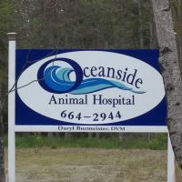 Oceanside Animal Hospital ico