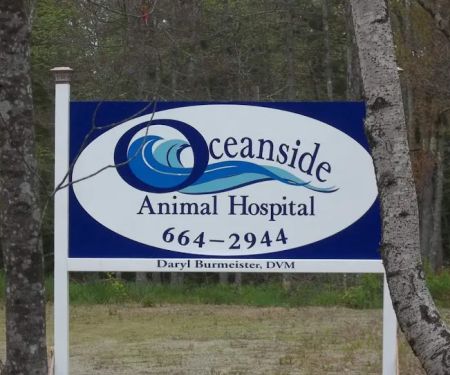 Oceanside Animal Hospital