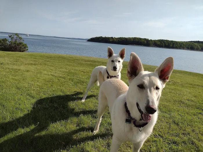 Acadia Veterinary Hospital Picture 4