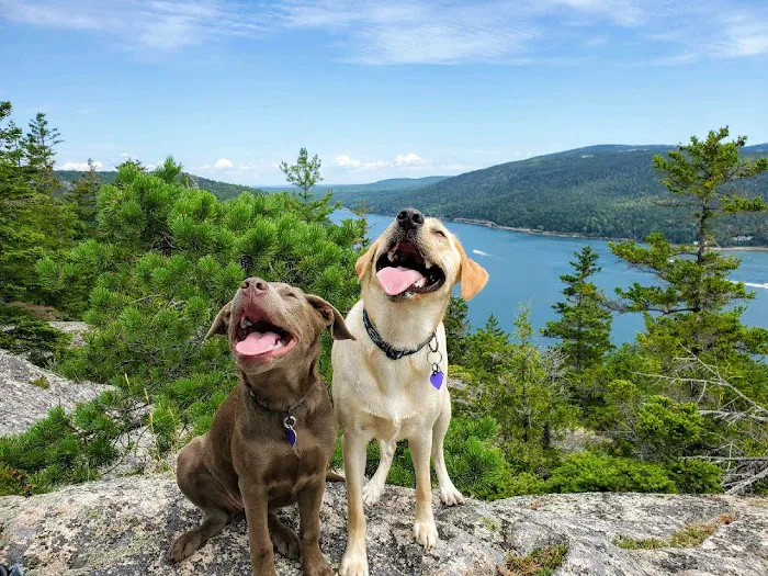 Acadia Veterinary Hospital Picture 8