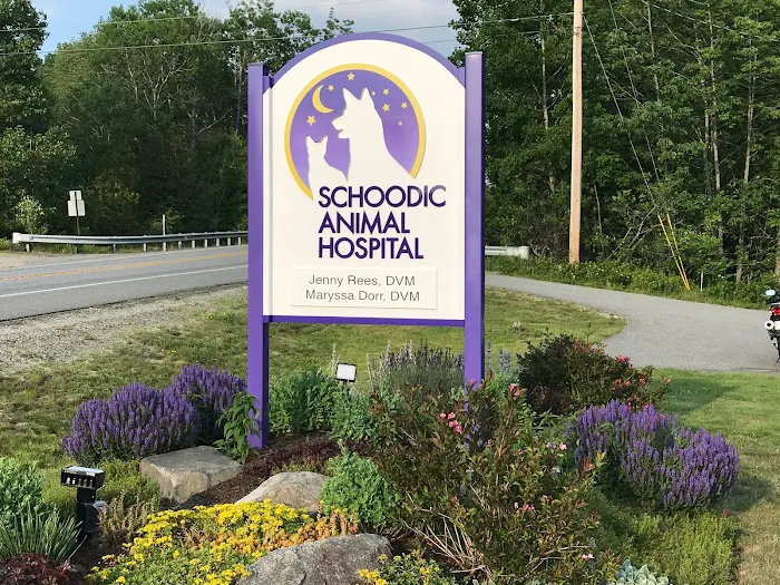 Schoodic Animal Hospital Picture 7