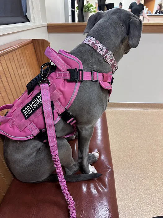 Lincolnton Animal Hospital Picture 2