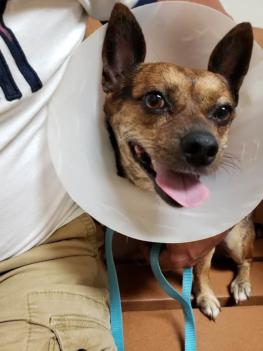 Lincolnton Animal Hospital Picture 4