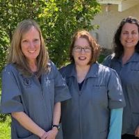 Lincolnton Animal Hospital ico