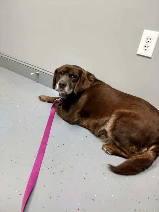 West Lincoln Veterinary Hospital Picture 9
