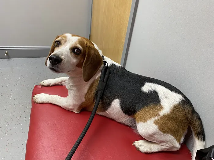 West Lincoln Veterinary Hospital Picture 10
