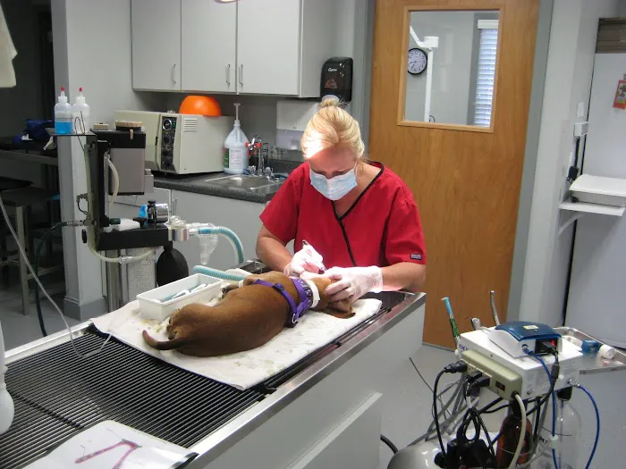 West Lincoln Veterinary Hospital Picture 2