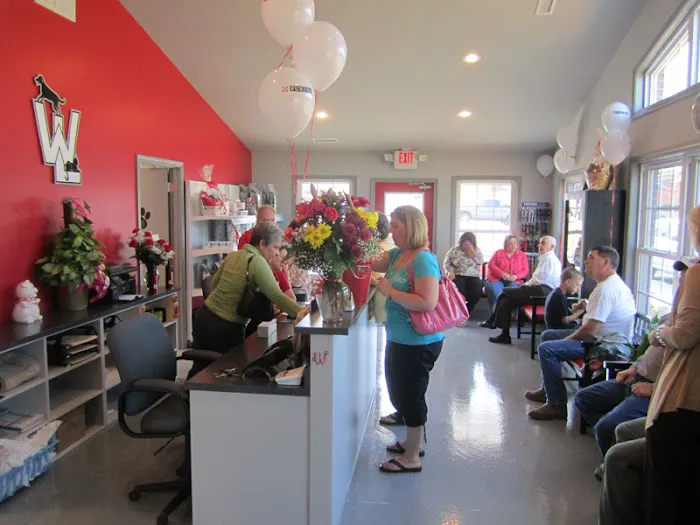 West Lincoln Veterinary Hospital Picture 1