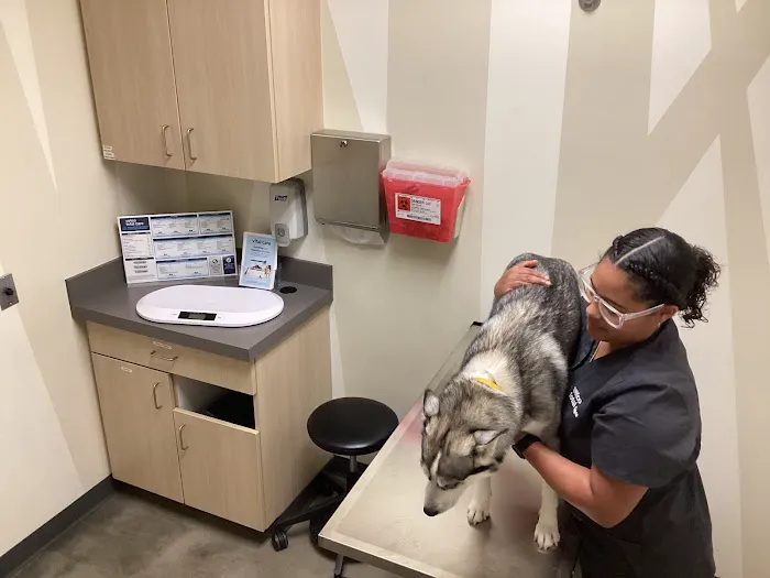 Vetco Total Care Animal Hospital Picture 1
