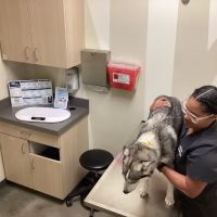 Vetco Total Care Animal Hospital ico