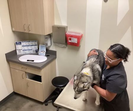 Vetco Total Care Animal Hospital