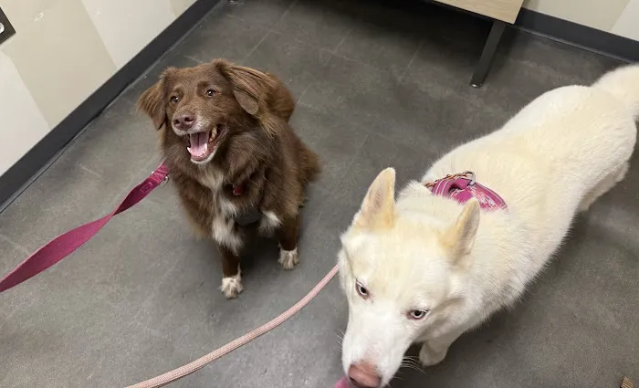 Vetco Total Care Animal Hospital Picture 7