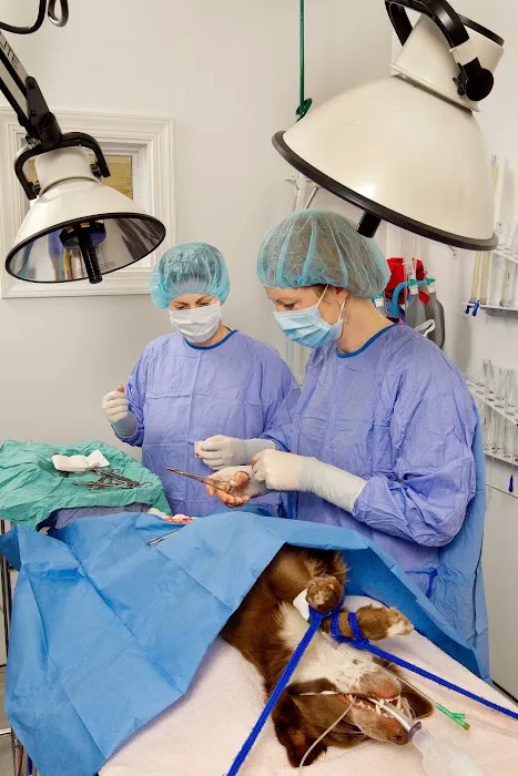 LakeCross Veterinary Hospital Picture 2