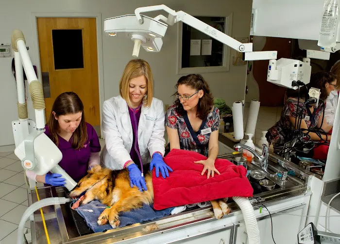 LakeCross Veterinary Hospital Picture 7