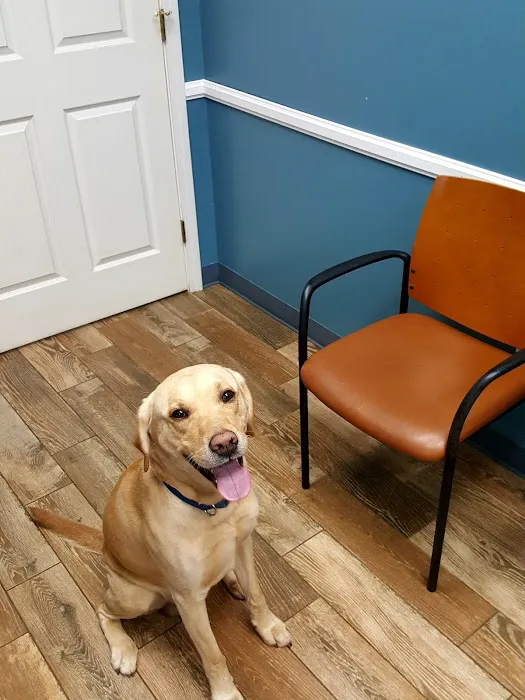 Birkdale Animal Hospital Picture 9