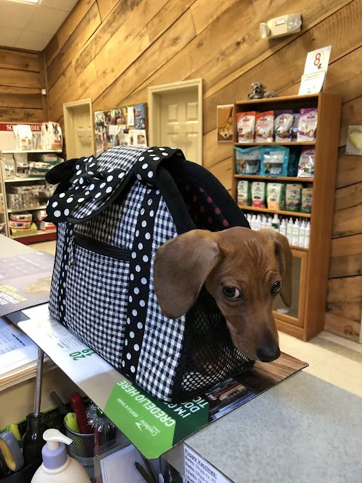 All Creatures Pet Hospital Picture 4