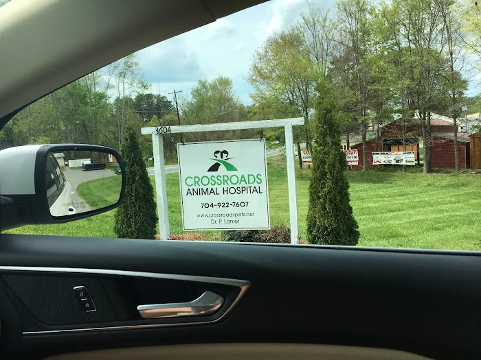 Crossroads Animal Hospital Picture 4