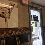 Crossroads Animal Hospital