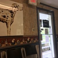 Crossroads Animal Hospital ico