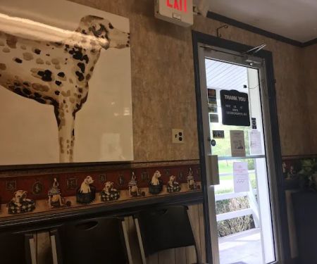 Crossroads Animal Hospital