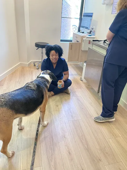 Petfolk Veterinary & Urgent Care - Huntersville Picture 6