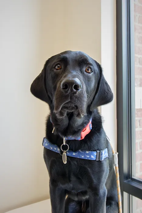 Petfolk Veterinary & Urgent Care - Huntersville Picture 10