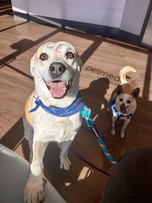 PetMedic Urgent Care Vet Clinic Picture 4