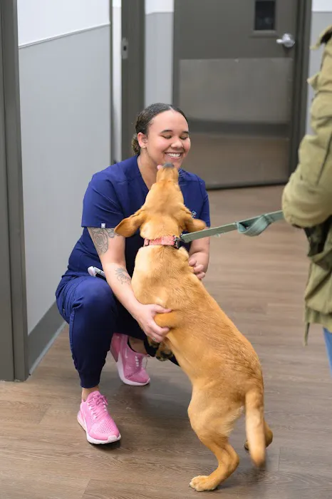 PetMedic Urgent Care Vet Clinic Picture 1