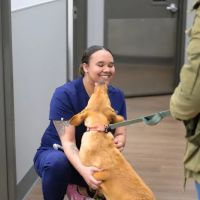 PetMedic Urgent Care Vet Clinic ico