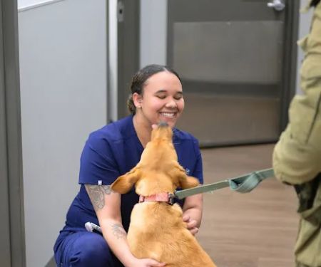 PetMedic Urgent Care Vet Clinic