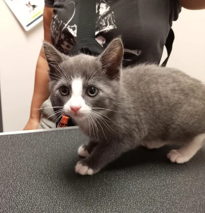 Powers Veterinary Hospital Picture 2