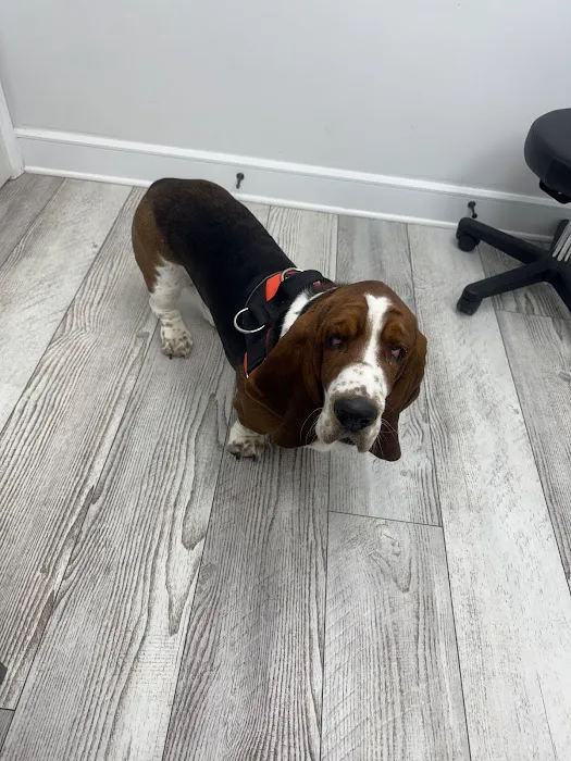 Animal Eye Clinic - Huntersville Picture 1