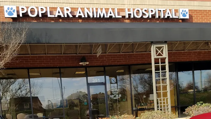Poplar Animal Hospital Picture 9