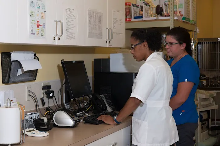 Foster Animal Clinic at Parkway Commons Picture 9