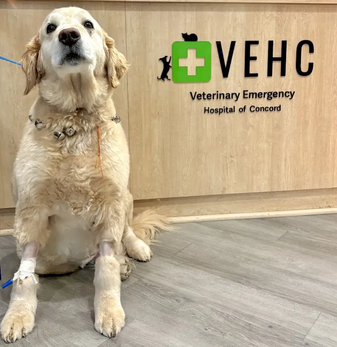 Veterinary Emergency Hospital of Concord (VEHC) Picture 7