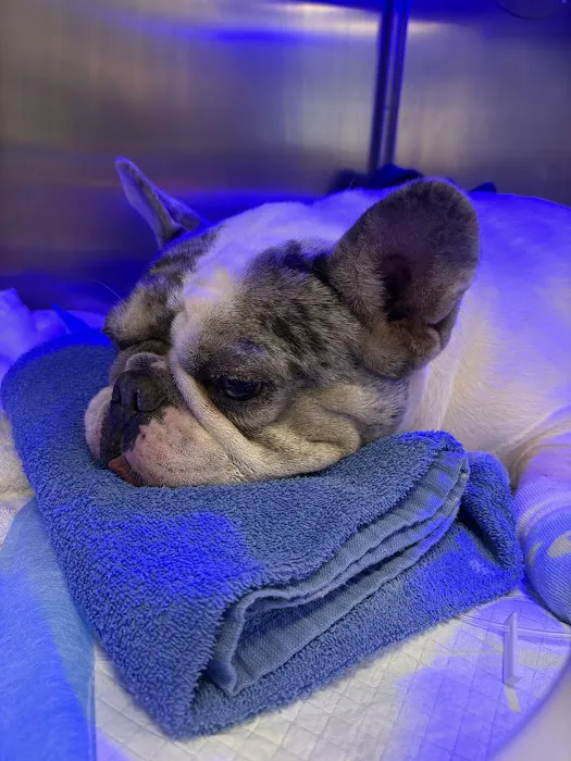 Veterinary Emergency Hospital of Concord (VEHC) Picture 6