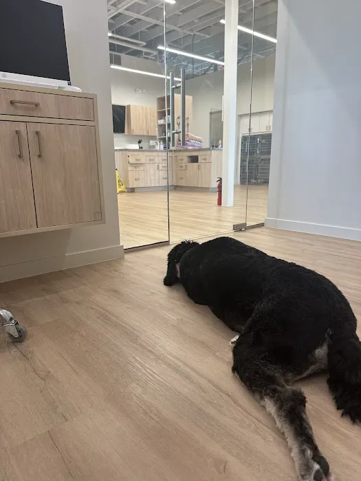 Petfolk Veterinary & Urgent Care - Concord Picture 4