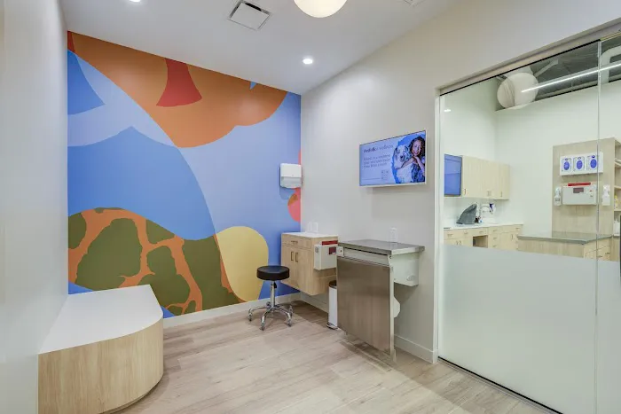 Petfolk Veterinary & Urgent Care - Concord Picture 3