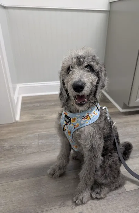 Fairview Veterinary Clinic Picture 4