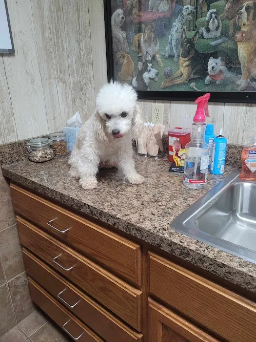 Fairview Veterinary Clinic Picture 5