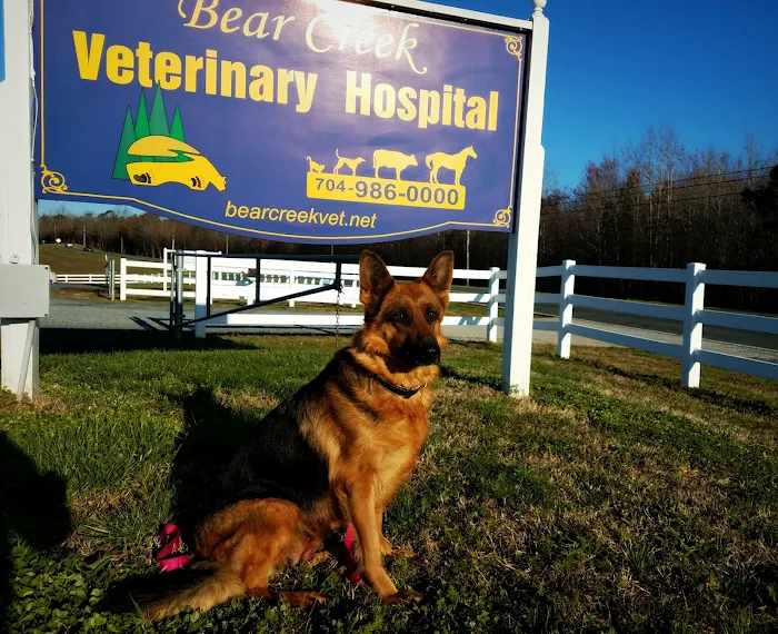 Bear Creek Veterinary Hospital Picture 10
