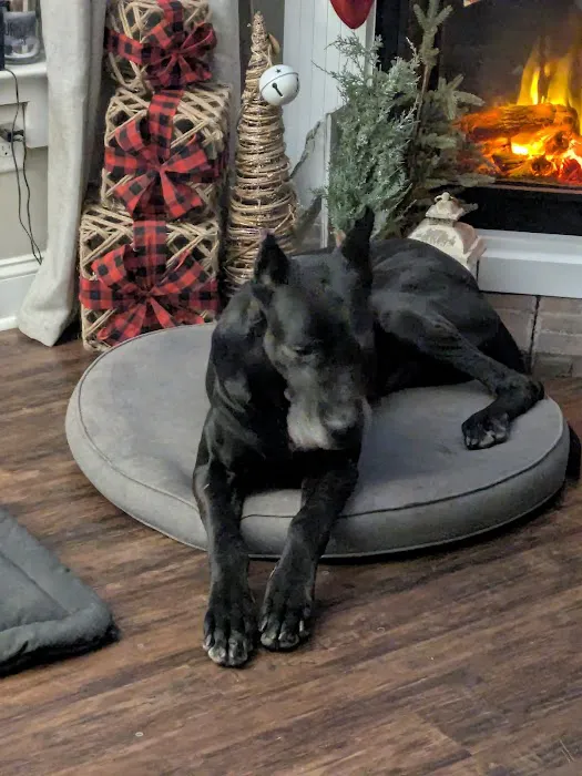 Bear Creek Veterinary Hospital Picture 8
