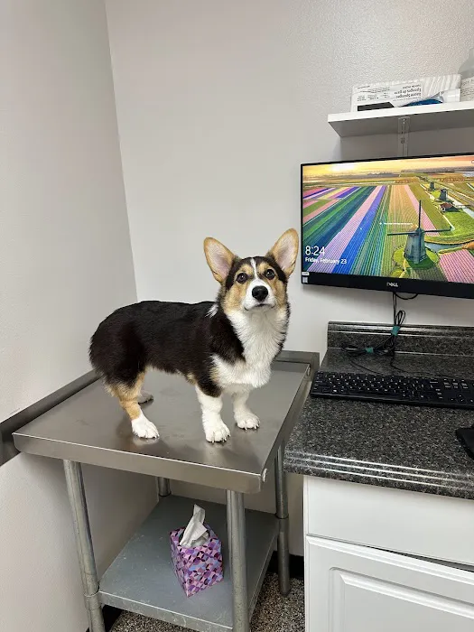 Bear Creek Veterinary Hospital Picture 7