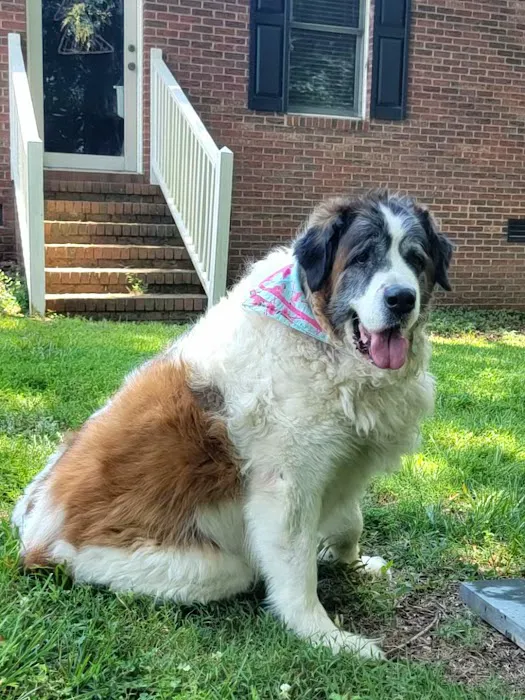 Central Piedmont Mobile Veterinary Services Picture 3