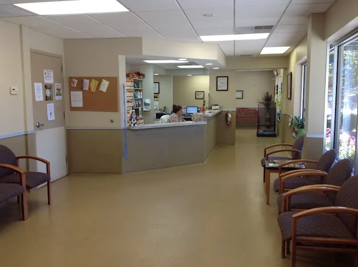 Mt. Pleasant Animal Hospital Picture 2