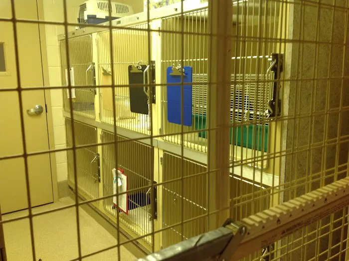 Mt. Pleasant Animal Hospital Picture 4