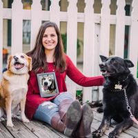 Mt. Pleasant Animal Hospital ico