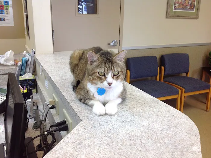 Mt. Pleasant Animal Hospital Picture 7