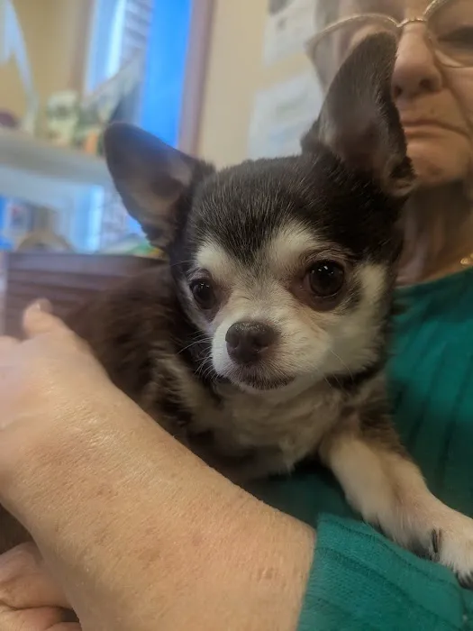 West Stanly Animal Clinic Picture 3