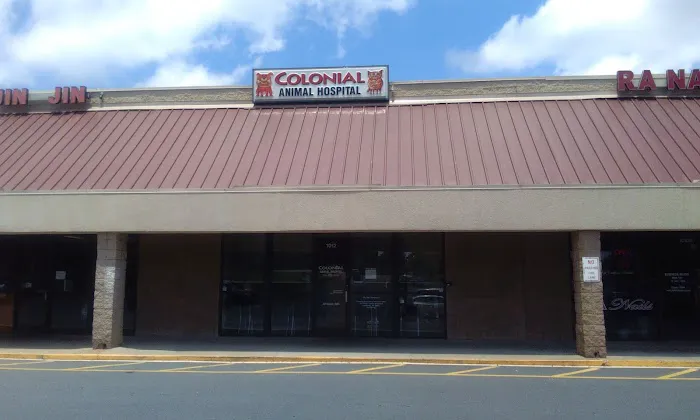 Colonial Animal Hospital Picture 5